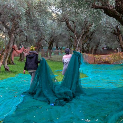 Foto di Federico Barattini - Progetto Dafne Cif Carrara