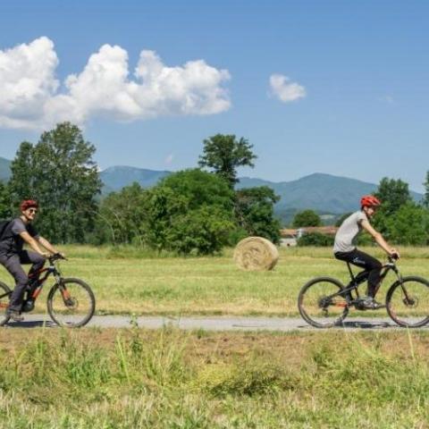 Foto di Matteo Dunchi - Farfalle in cammino