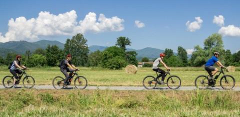 Foto di Matteo Dunchi - Farfalle in cammino