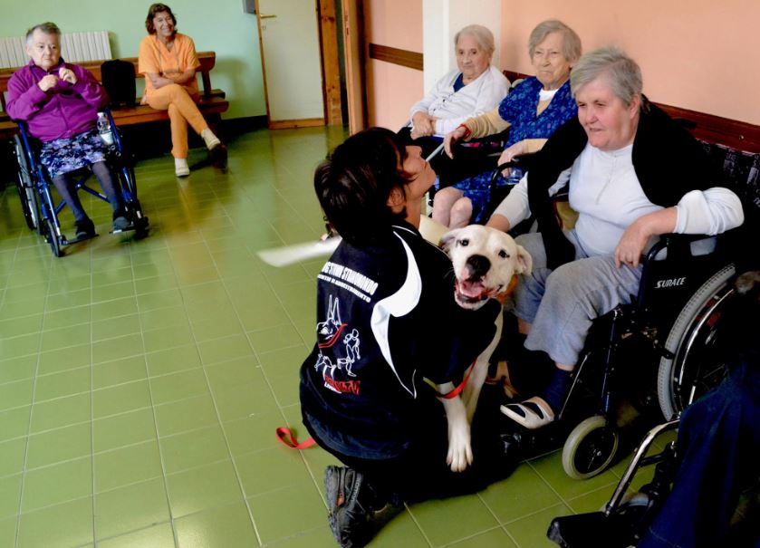 Volontariato, longevità attiva ed intergenerazionalità: accordo CSVnet e ADA