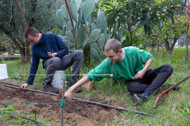 17 novembre | A piccoli passi. Esperienze del territorio per l'inclusione e la vita indipendente